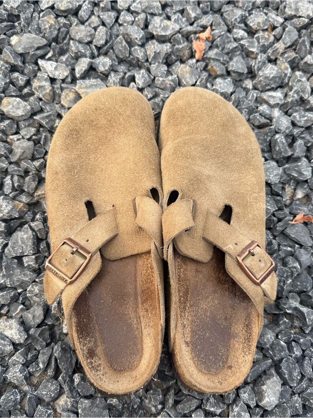 Birkenstock Kids Suede Slip-On Clogs in Tan Brown with Buckles